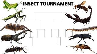 INSECT TOURNAMENT - ANIMATION