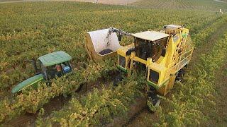 Oxbo 6030 Multifunction Grape Harvester