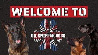 Welcome to UK Sniffer Dogs