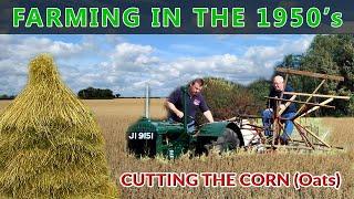 Farming In Ireland in the 1950s - Growing Oats - Farming Down the Years Part One