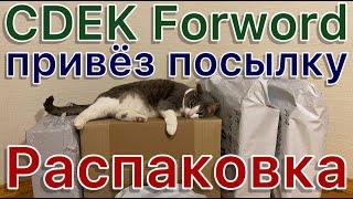 CDEK forward привез посылки. Почему мне не нравится эта компания. Распаковка