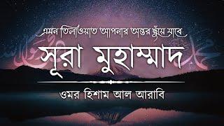 সূরা মুহাম্মাদ (سورة محمد) এর অন্তর জুড়ানো তিলাওয়াত ┋ Surah Muhammad recited by Omar Hisham Al Arabi