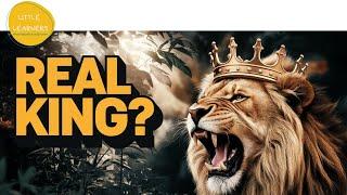 Is the Lion the TRUE King of the Jungle?