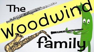 Woodwind Instruments for kids (INSTs 3) | Flute | Clarinet | Sax & more | Green Bean's Music