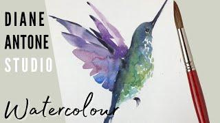 How to Paint a Watercolour Hummingbird | Natural World Painting Tutorial with Diane Antone