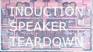 Induction Speaker Teardown