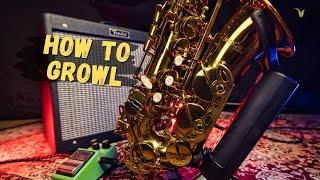 How to Growl on Saxophone (Natural Distortion Pedal)