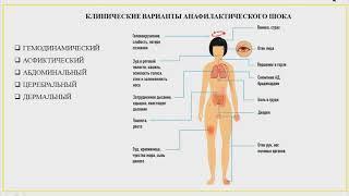 Сестринская помощь при анафилактическом шоке