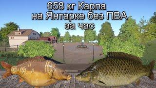 658 кг Карпа за час  Без Пва на Янтарном озере!!!