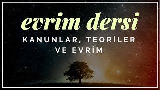 Evrim Dersi 3: Kanunlar, Teoriler ve Evrim