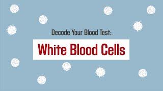 Decode Your Blood Test: White Blood Cells  | Merck Manual Consumer Version