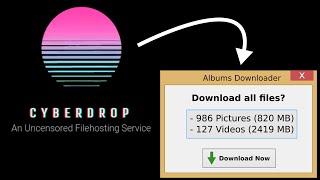 How to Download CyberDrop All Pictures and Videos at Once