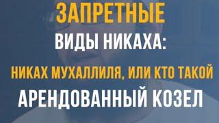 Кто такой арендованный козел (запретные виды брака)? Тауфик Ал-Лакзи