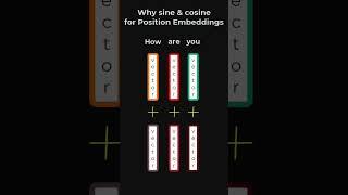 Cracking the Code: Sine & Cosine in Transformer Neural Networks Explained! 