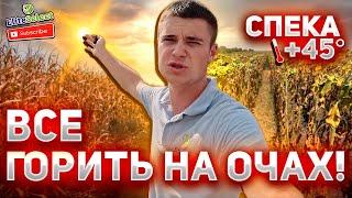 Спека! ЕС Саксон та +45.  ВСЕ ГОРИТЬ НА ОЧАХ!