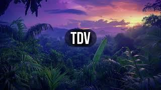 (Free) Jul x Zamdane type beat - TDV - afrobeat x club instrumental type beat 2024