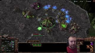 NewBreed vs CaptainMitt ZvP on Ley Lines 2024-12-28