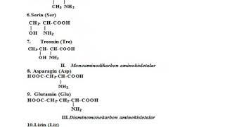 Oziq-ovqat tarkibidagi aminokislotalar