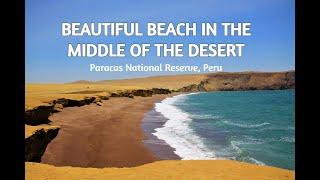 This is how a desert beach looks like | Walking tour inside the Paracas National Reserve, Peru