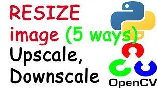 Resize or Scale an image using python || 5 different types of image resize