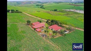 R4,500,000-58 Greylands Road, Frasers-Well Priced Farm With Excellent Yield And Potential