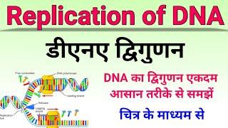 डीएनए का द्विगुणन (Replication of DNA)| dna द्विगुणन |mechanism of dna replication in hindi lecture