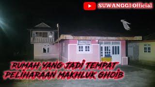 Pemburu Setan Episode 44‼️Tak Sanggup Tinggal diRumah ini