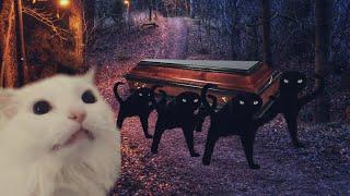 Astronomia - Coffin Dance Meme - Cat Cover #2