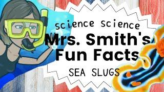 Sea Slugs: Fun Little Science Facts for Kids Life Science