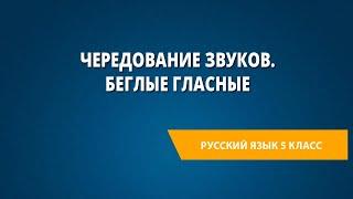 Чередование звуков. Беглые гласные