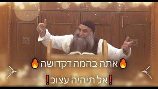 אתה בהמה דקדושה ! | אל תהיה עצוב מהמעברים והירידות שעובר עלייך️