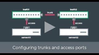 Getting Started: Configuring trunks and access ports