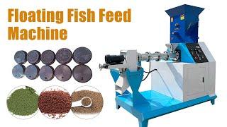 Newest floating fish feed pellet machine exported to Congo! 0.25-0.30t/h fish food making machine