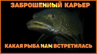 Вольск Карьер Подводная охота. Какая рыба там обитает? Рыбакам к обязательному просмотру!