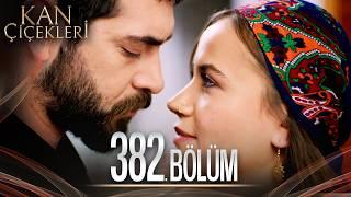 Kan Çiçekleri 382. Bölüm