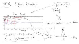 NMR Spectra Generation and Fourier Transforms