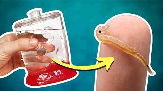 Sea-Monkeys Ocean-Zoo | History, Unboxing & Review!