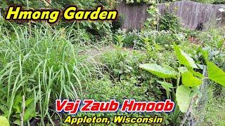 A Typical Hmong Garden - Hmoob Ib Lub Vaj Zaub Zoo Heev!