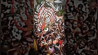 Shree Jagannath Rath Yatra status|#shorts #shortsfeed #jagannathpuri  #jagannath #hindu