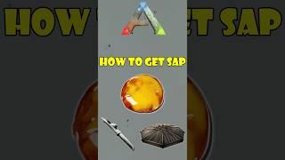 ark sap 