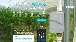 WittFlow: smart water timer with intelligent irrigation system (short)