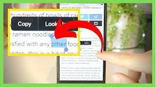 How to Copy and Paste on iPhone/ iPad   [BEST METHOD!]