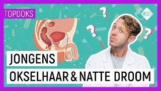 WAT GEBEURT ER MET JE LICHAAM IN DE PUBERTEIT | Vraag het dokter Elbert | NPO Zapp