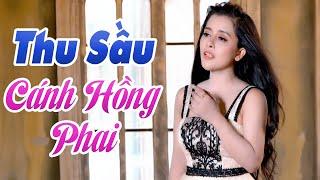 Thu Sầu, Cánh Hồng Phai - Những Bài Nhạc Tình Thấm Đẫm Nước Mắt | Hồng Quyên Bolero