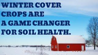 Why Winter Cover Crops Are a Game Changer