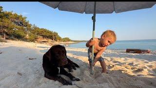 Funniest Moment! Baby Tries To Install Sun Umbrella for His Dog