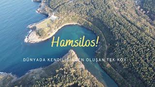 Dünyada Kendiliğinden Oluşan Tek KOY! - Sinop Hamsilos Koyu