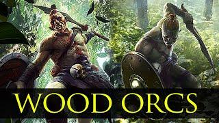 The Wood Orcs of Valenwood - Agile Orsimer Warriors - Elder Scrolls Lore