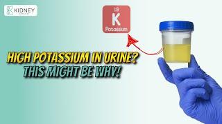 How High Potassium in Urine is Due to Magnesium Deficiency? | Proteinuria