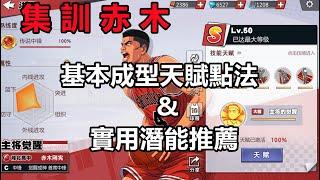 灌籃高手手遊 SLAMDUNK集訓赤木剛憲天賦視頻【基本成型天賦點法以及潛能推薦！】